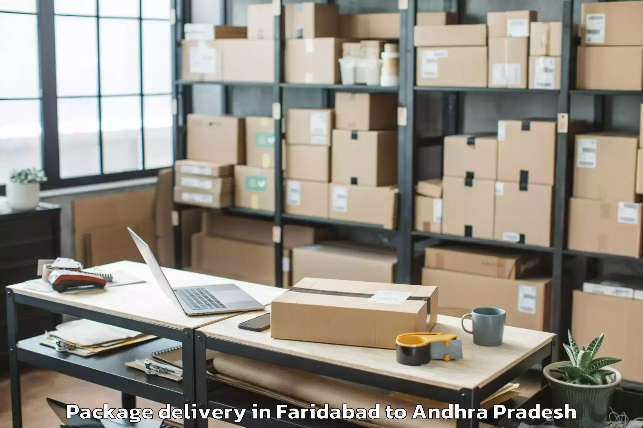 Quality Faridabad to Buchinaidu Kandriga Package Delivery